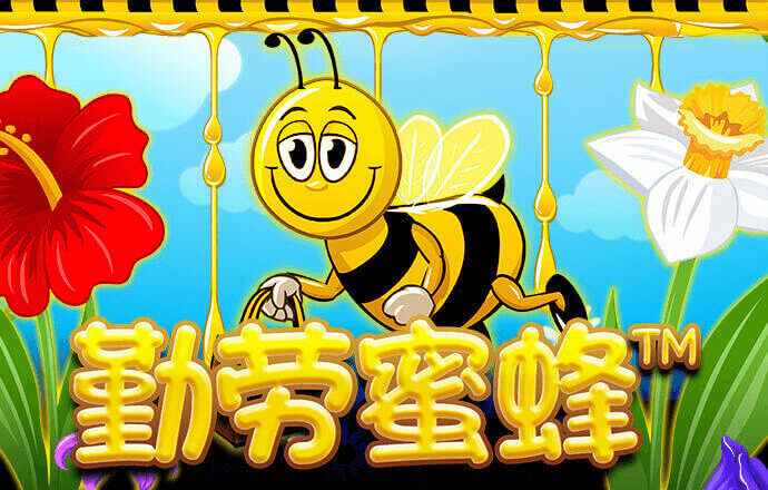 开云app官方版入口